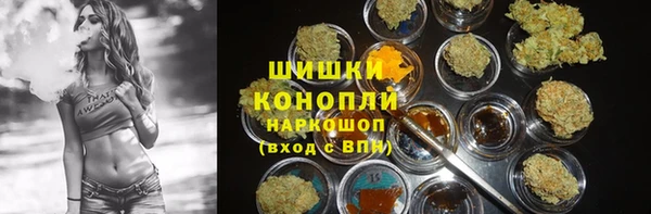 прущие грибы Баксан