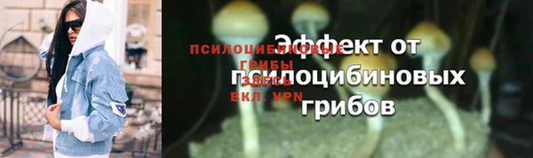 прущие грибы Баксан