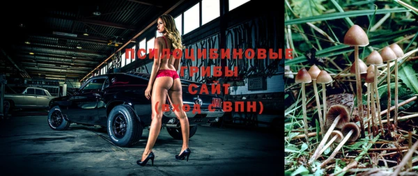 прущие грибы Баксан