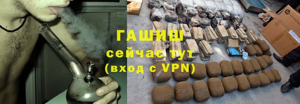 прущие грибы Осташков
