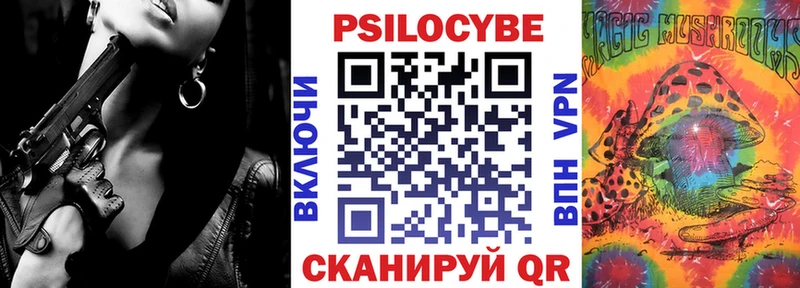 где купить   площадка клад  Псилоцибиновые грибы Psilocybe  Североморск 